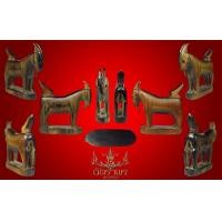 ราคา แพะหลวงพ่ออ่ำ วัดหนองกะบอก จ.ระยอง