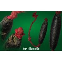 ราคา ตะกรุดก่าสะท้อน ขนาด 2 นิ้ว ครูบาชุ่ม โพธิโก