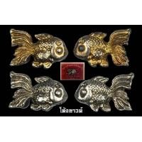 ราคา ปลาเงิน ปลาทอง หลวงปู่ครูบาคำแสน คุณาลังกาโร วัดป่าดอนมูล