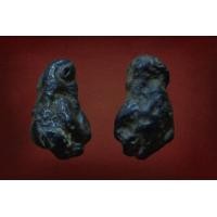 ราคา คตปลวก