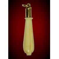 ราคา ดอกจำปี หลวงพ่อสด วัดปากน้ำ ภาษีเจริญ ขนาดเล็ก น่ารัก