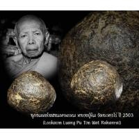 ราคา ลูกอมผงโสฬสมหาพรหม หลวงปู่ทิม วัดละหารไร่ ปี 2503 หลวงปู่ทิม วัดละหารไร่