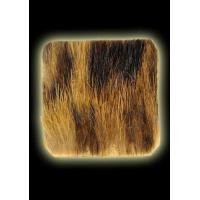 ราคา หนังหน้าผากเสือของหลวงพ่อสว่างวัดท่าพุทรา จังหวัดกำแพงเพชร