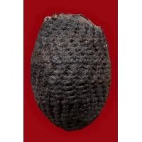 ราคา เบี้ยแก้ หลวงปู่รอด วัดนายโรง