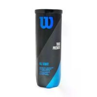 ราคา WILSON WILSON Tour Premier All Court ลูกเทนนิส (แพ็ค 3 ลูก) - One Size (SSP60692702)