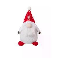 ราคา LIVERPOOL FOOTBALL CLUB LIVERPOOL FOOTBALL CLUB Christmas ตุ๊กตาตกแต่งต้นคริสต์มาส - One Size (SSP67733101)