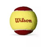 ราคา WILSON WILSON Starter Red ลูกเทนนิส (12 ลูก) - One Size (SSP66863113)