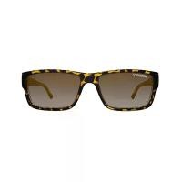 ราคา TIFOSI แว่นกันแดด รุ่น HAGEN Leopard (Brown Gradient), สีน้ำตาล (MKP0729377)