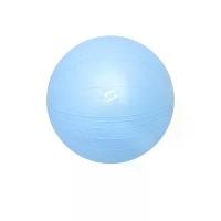 ราคา S SPORTS S SPORTS MYB065 ลูกบอลโยคะ - One Size (SSP65298251)