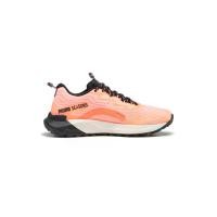 ราคา PUMA PUMA Fast-Trac Nitro 2 รองเท้าวิ่งเทรลผู้หญิง - UK 4 (SSP65284131)