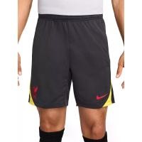 ราคา NIKE NIKE Liverpool FC Strike Third กางเกงฟุตบอลขาสั้นผู้ชาย - L (US SIZE) (SSP67745289)