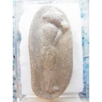 ราคา พระวัดพลับ กทม เนื้อผง วันทาเสมา ติดรางวัลที่2 ปี2525 ชิงโล่พระเทพฯ ลพบุรี รัตนโกสินทร์ 200ปี (10748)