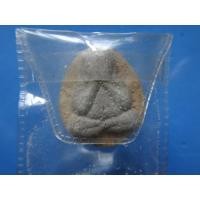 ราคา พระหลวงพ่อคูณ วัดบ้านไร่ (17553)