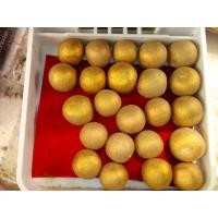 ราคา ลูกอมผงพรายกุมาร บรอนเดิมๆ หลวงปู่ทิมยุคแรก สภาพหิ้ง สวยเดิมเลยคับ หาไม่มีแน่นอน (52843)