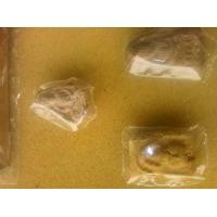 ราคา หลวงปู่ทิมวัดระหารไร่ เนื้อผงยานัด พิมปิดตา พิมหลวงปู่ทวด พิมปรกโพธิ์ ออกวัดบ้านเก่า ระยอง (52844)