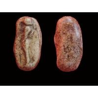 ราคา พระวัดพลับพิมพ์วันทาเสมา (62424)