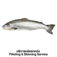 ราคา ปลาแซลมอนสดนอร์เวย์ บริการแล่ลอกหนัง 1 ตัว (ประมาณ 4-5 กก./ตัว) (630220278836768)