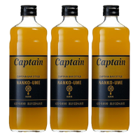 ราคา นากามุระ แคปเทน น้ำเชื่อมรสบ๊วยนันโกะ สูตรน้ำเชื่อมฟรุกโตส น้ำบ๊วย และเพียวเร่บ๊วยจากวาคายามะ ผลิตในประเทศญี่ปุ่น 600 มล. x 3 (823397514891598)