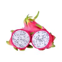 ราคา แก้วมังกรเวียดนาม (เบอร์ 16-18) 5 กก. (35350156655626)