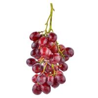 ราคา องุ่นแดงไร้เมล็ดอินเดีย แพ็คละ 1 กก. (400652931177075)