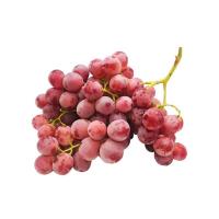 ราคา (สินค้าสั่งจองสารทจีน) องุ่นแดงนอกจีน 1 กก. (109216816458593)