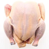 ราคา ไก่ล้วงเครื่องใน 1.7-2.7 กก./ตัว (905112998922238)