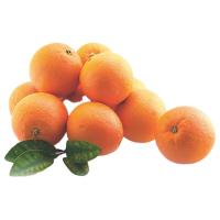 ราคา ส้มนาเวล 1 กก. (921808632482931)