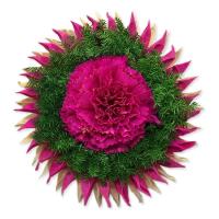 ราคา กระทงคละสี (7499719213251)