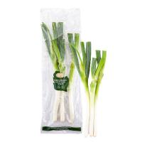 ราคา ต้นหอมญี่ปุ่นอินทรีย์ 300 ก. (7275695702211)