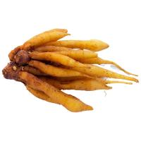 ราคา กระชายหัว แพ็คละ 300 ก. (375143698082172)