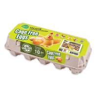 ราคา เคซีเอฟ ไข่ไก่สด เคจฟรี x 10 ฟอง (7416150556867)