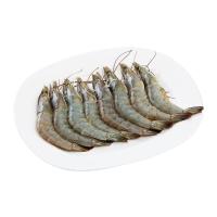 ราคา กุ้งขาวจัมโบ้ 31-40 ตัว/กก. (58721006756723)