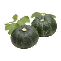 ราคา ฟักทองญี่ปุ่นจิ๋ว 1 ลูก (7275697635523)