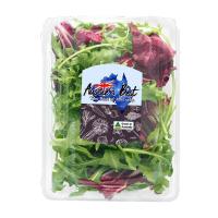 ราคา ผักสลัดนำเข้ามิกซ์ 100 ก. (251662847785840)
