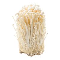 ราคา เห็ดเข็มทอง 300 ก. (218299270994442)