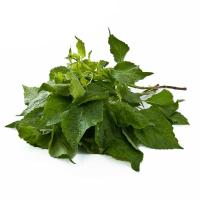 ราคา ใบยี่หร่า 300 ก. (7422335811779)