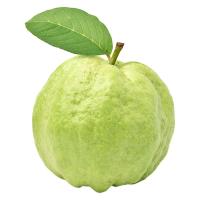 ราคา ฝรั่งกิมจู 1 แพ็ค (707002227126877)