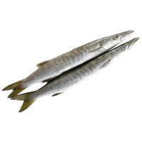 ราคา ปลาน้ำดอกไม้ เล็ก 1 กก. (116403085201144)