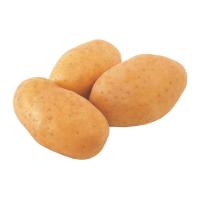 ราคา มันฝรั่ง 1 กก. (7352884232387)