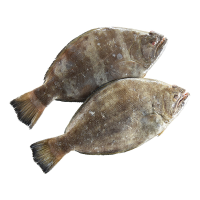 ราคา ปลาตาเดียว 1 กก. (313765249262088)