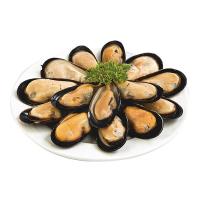 ราคา เซนต์ แอนดรูวส์ หอยแมลงภู่ชิลีครึ่งฝา 40-60 ตัว (7275698946243)