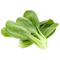 ราคา ผักกวางตุ้งไต้หวัน ถุงใหญ่ 3 กก. (306975936058004)