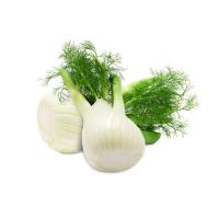 ราคา ยี่หร่าฝรั่ง 1 กก. (655572061763689)