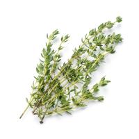 ราคา สมุนไพรไทม์สด 100 ก. (7352901370051)