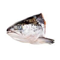 ราคา หัวแซลมอนแช่แข็ง 1 กก. (331206377908514)