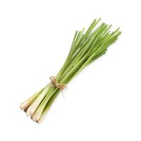 ราคา ตะไคร้ 1 กก. (7543242555587)