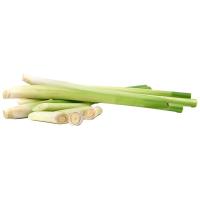 ราคา ตะไคร้ 300 ก. (279685401912765)