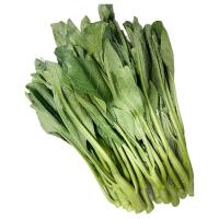 ราคา ผักคะน้า ถุงใหญ่ 3 กก. (888457927215910)