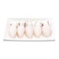 ราคา หมึกกระดองเจาะจัมโบ้ 1 กก. (848618401391048)