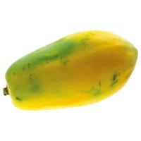 ราคา มะละกอฮอลล์แลนด์ 1 ลูก (1.5 กก./ลูก) (398384599004114)